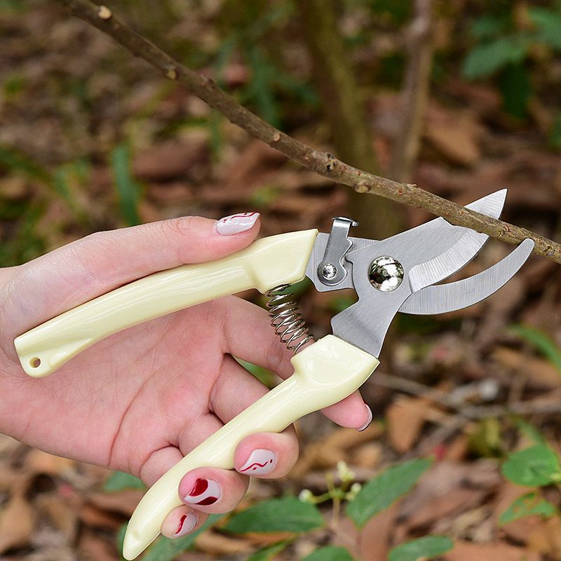 Strong stainless steel pruning shears for rough branches, orchard fruit picking, specialized flower pruning and fruit thinning, multifunctional garden tree branches shears