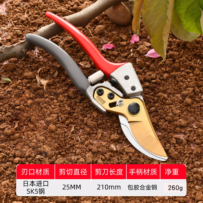 Pruning shears, gardening shears, specialized shears for pruning tree branches, garden pruning, new pruning shears for fruit trees, pruning floral arrangements, pruning shears