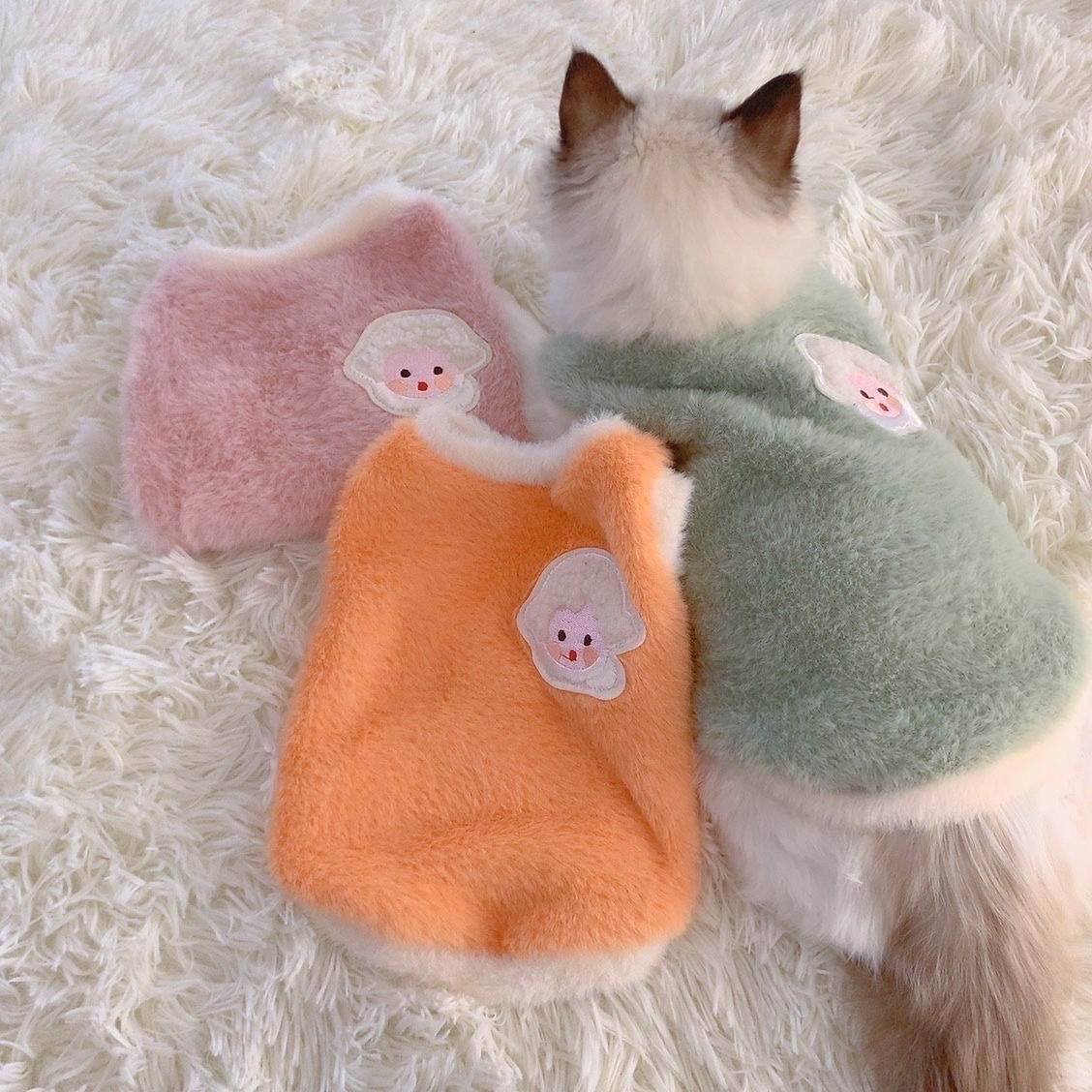 Кошачья одежда осенью и зимних раппот