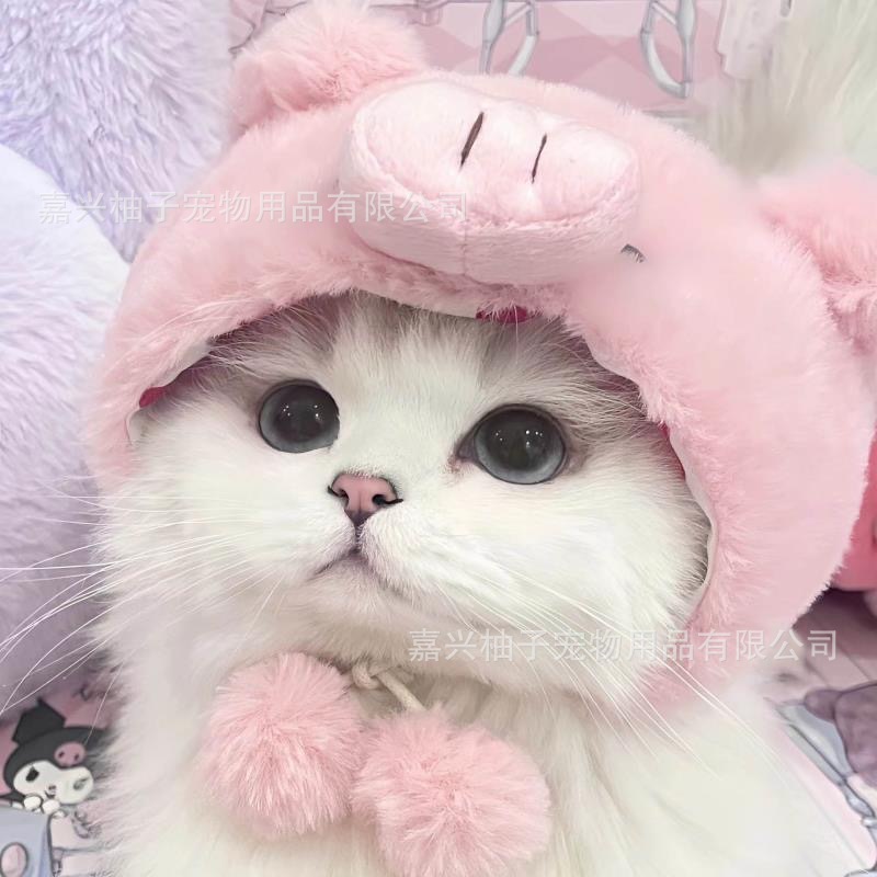 Кошачья головка милый маленький шляпная шляпа Pet Puppy Puppy malzis yingxiabi медведь милый выстрел