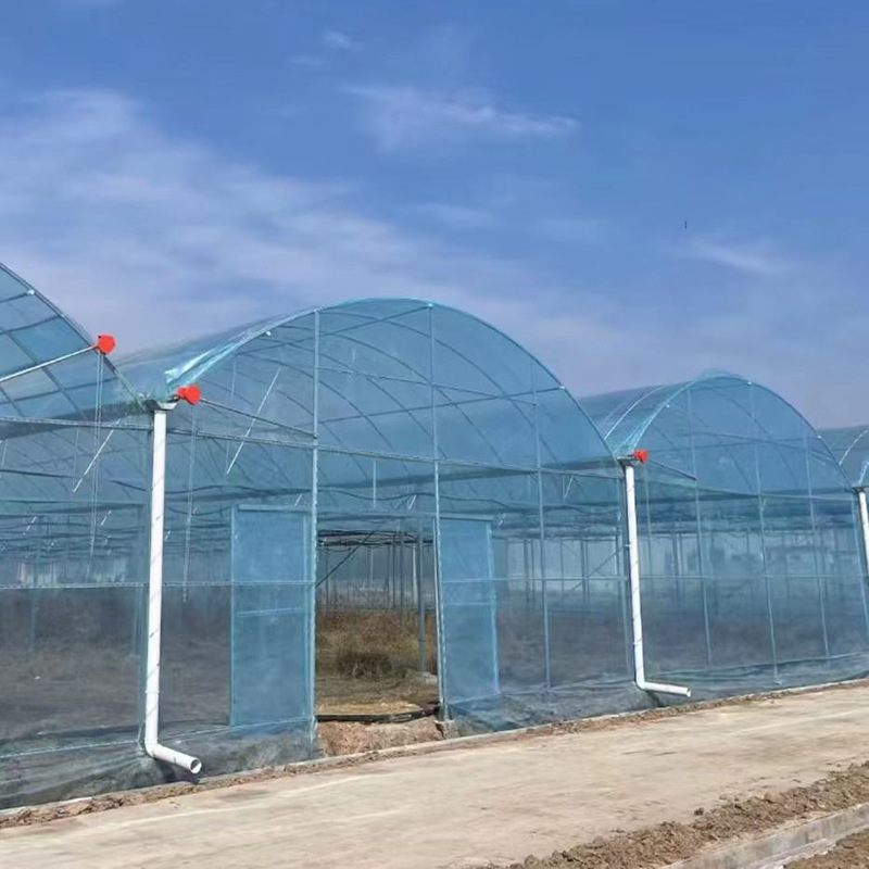 Integrated greenhouse for direct supply of vegetables, fruits and vegetables, integrated greenhouse for foreign trade, connected greenhouse for thermal insulation, greenhouse for sunshade film