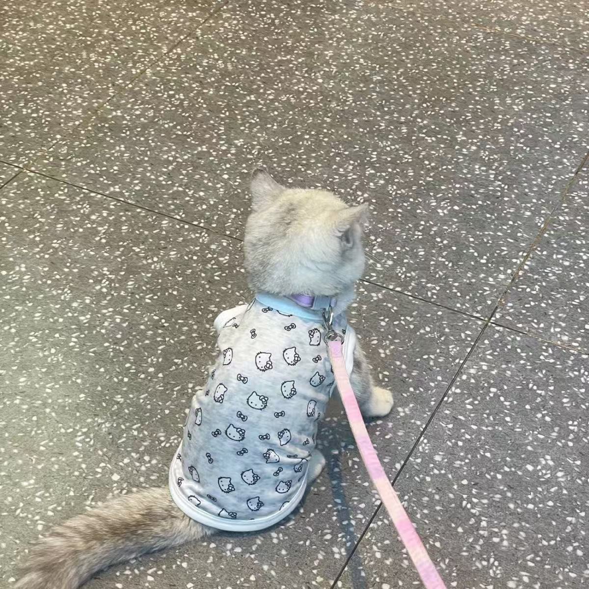 Одежда для домашних животных KT Katie Cats Dog Summer Schnauzer Puppy Teddy маленькая собака биспанда одежда
