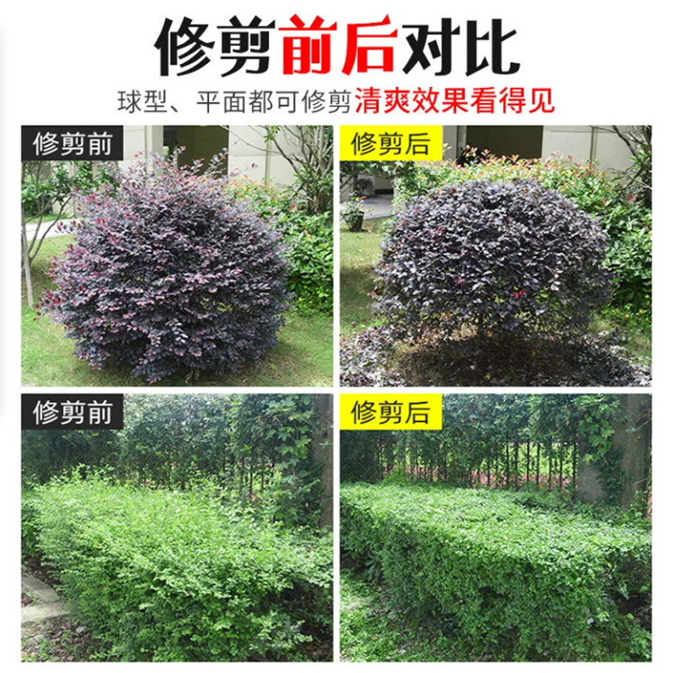 修剪球树灌木绿篱机 24V锂电池修枝剪 轻便型双刃绿化带修剪机