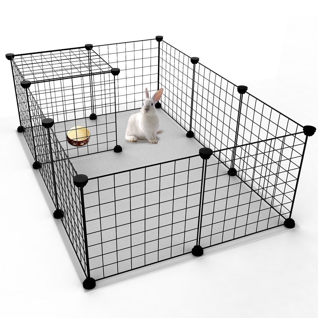 DIY PET FERNC