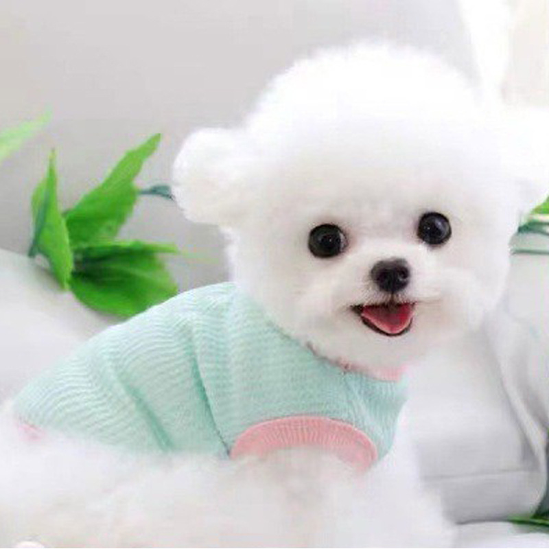 Летние собаки и одежда для кошек Walfje Vest Pet Одежда, чтобы предотвратить маленькую собаку Лянгби Бемаи Тедди