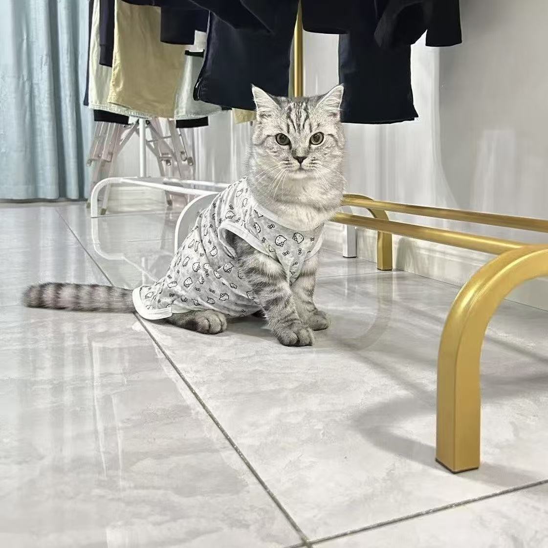 Одежда для домашних животных KT Katie Cats Dog Summer Schnauzer Puppy Teddy маленькая собака биспанда одежда