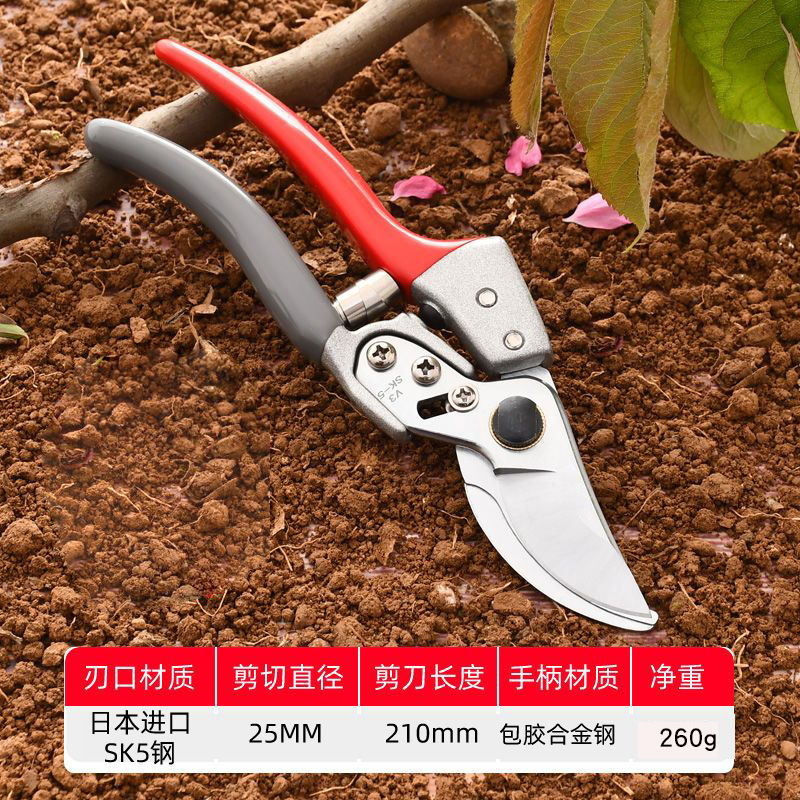 Pruning shears, gardening shears, specialized shears for pruning tree branches, garden pruning, new pruning shears for fruit trees, pruning floral arrangements, pruning shears