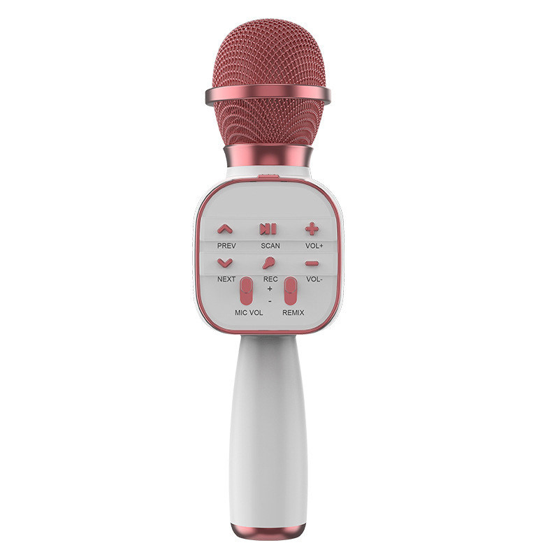 Беспроводной караоке-микрофон WSDER DS813 Bluetooth