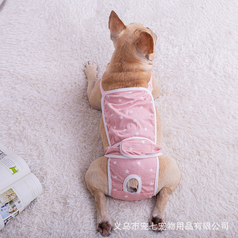 FA Dou Dog Dog Star Biological Banns Teddy Corgi Puppy Pabble Pacific Pet Pet Pat Panti