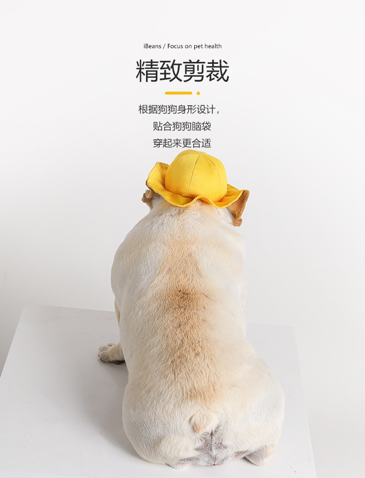 小黄帽_02.jpg
