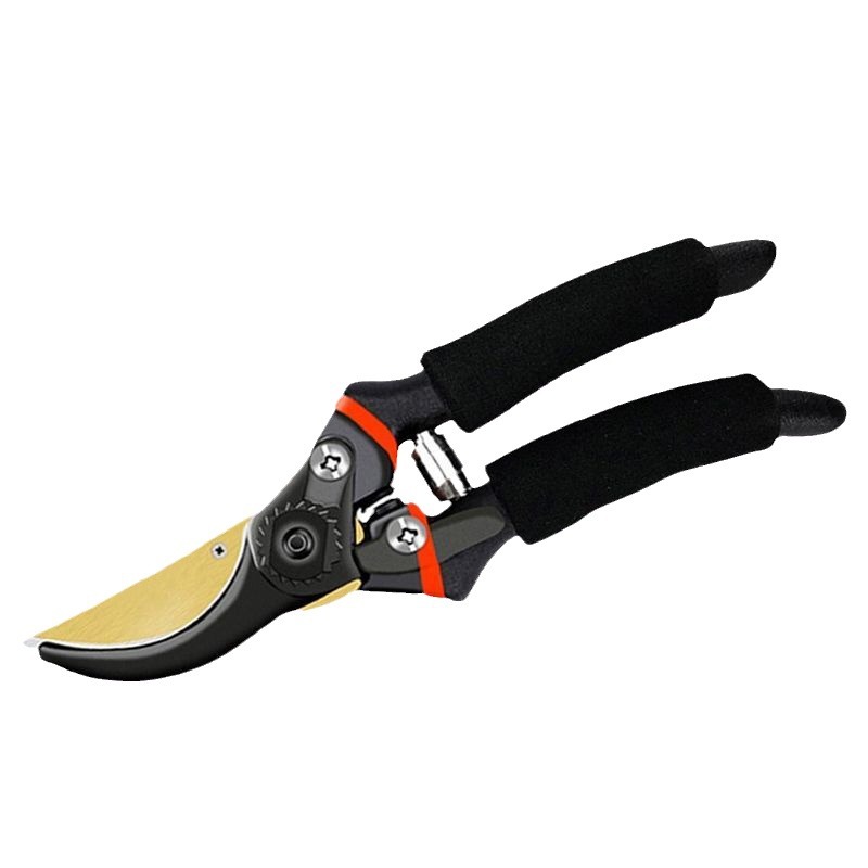 Pruning shears, gardening shears, specialized shears for pruning tree branches, garden pruning, new pruning shears for fruit trees, pruning floral arrangements, pruning shears