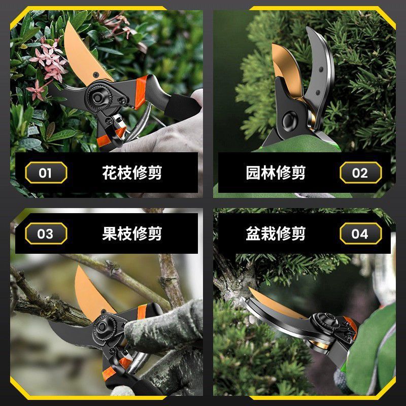 Pruning shears, gardening shears, specialized shears for pruning tree branches, garden pruning, new pruning shears for fruit trees, pruning floral arrangements, pruning shears