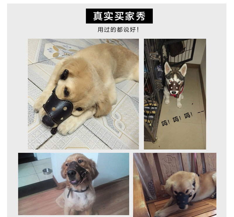 未标题-2狗嘴套_14.jpg