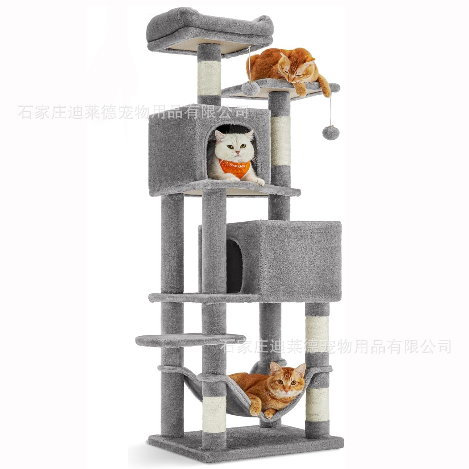 Кошка скалолазам рамка Temu бесплатная маркировка Большой кот Специальная кошка скалолаза