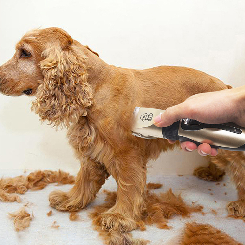 Tai Meng Pet Electric Push Clipper Electric Pusher Dog Hair Pusher Shaver Shaver Haircutter Haircut Haircut