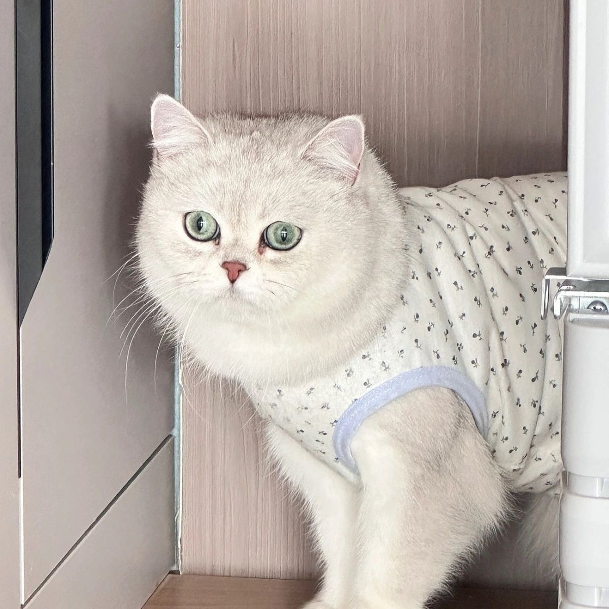 Hello kitty, осенний жилет, тонкий шнурок-держатель, летняя одежда