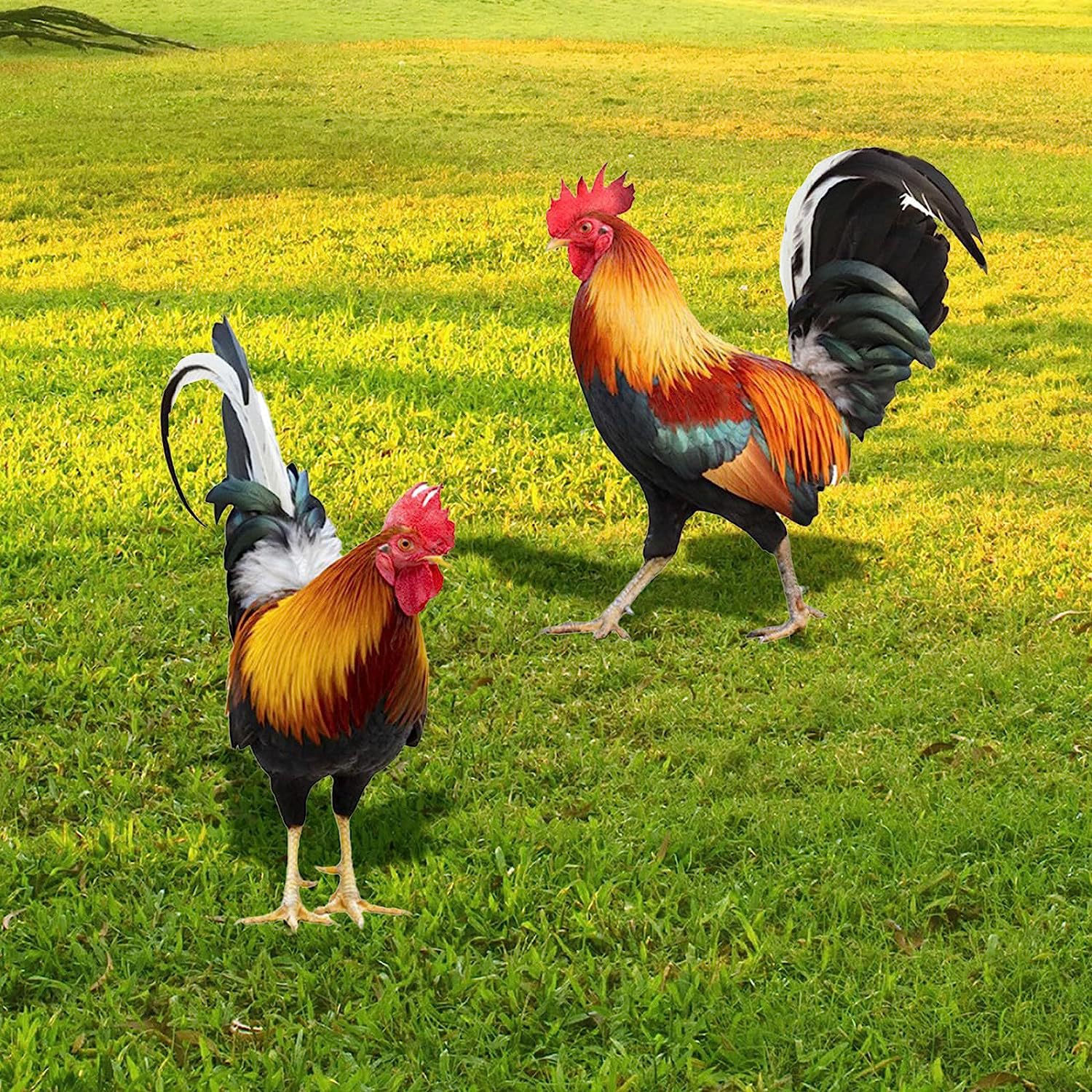 3D Courtyard Rooster Acrylic Mirror Yardart Garden Outdoor Decoration Ornaments Creative Courtyard Ornaments