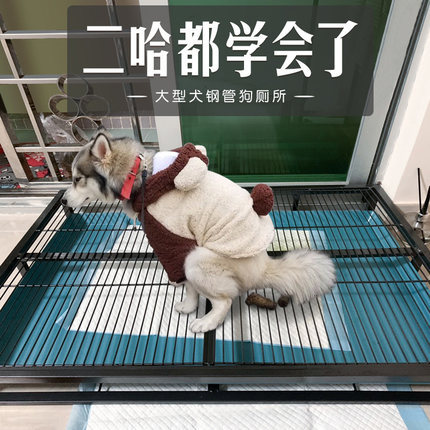 Dog Dog туалет Большая собака Золотая Мао Хуски бедный poot pooth shit дерьмо бассейн