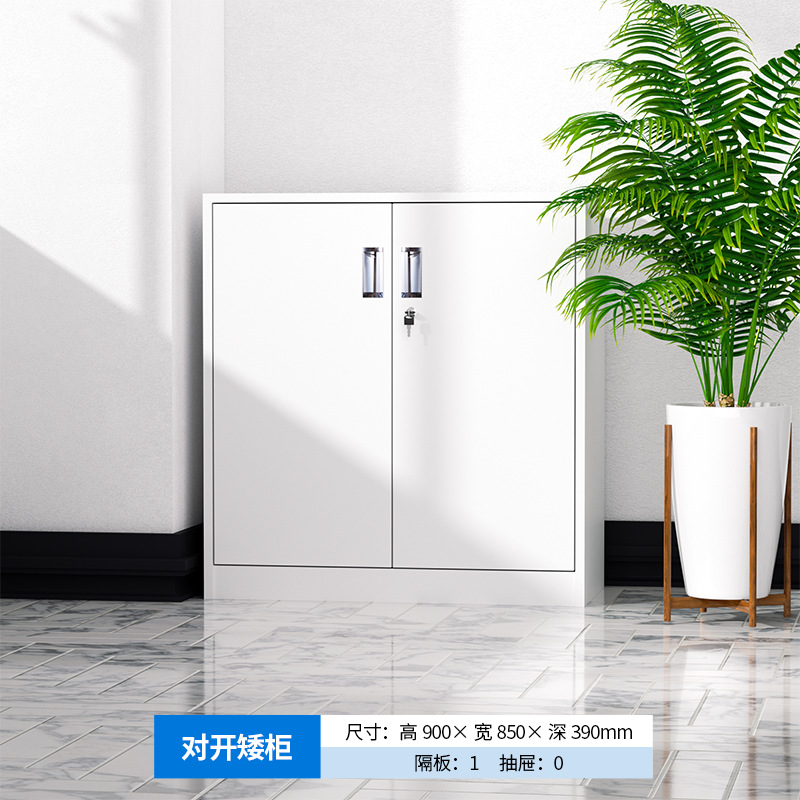 Шкаф для документов металлический офисный Fuhu FH-X1 с замком