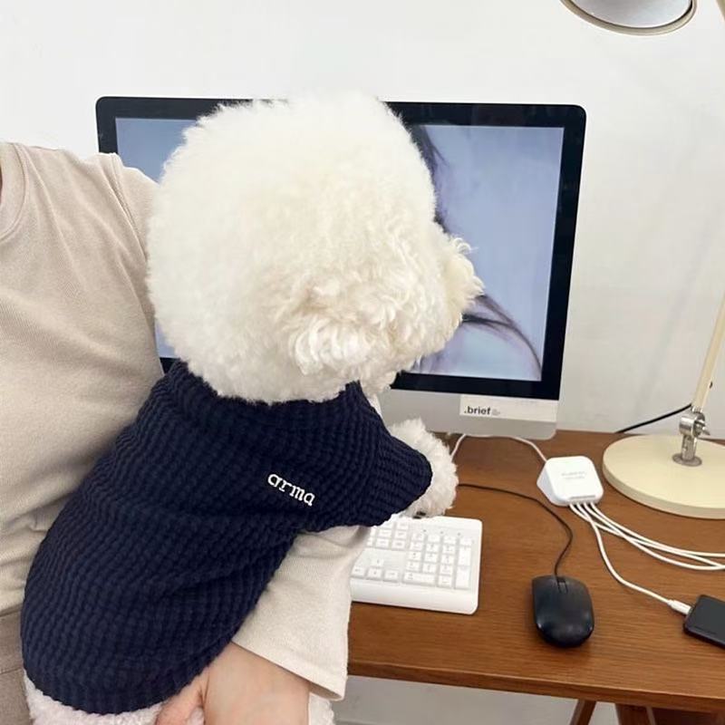 Лучший Pet Fall Walv geg ниже Teddy Biebel Beauty Binnari Cat Cat Puppy