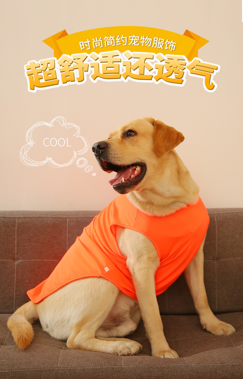 宠物服装_01.jpg