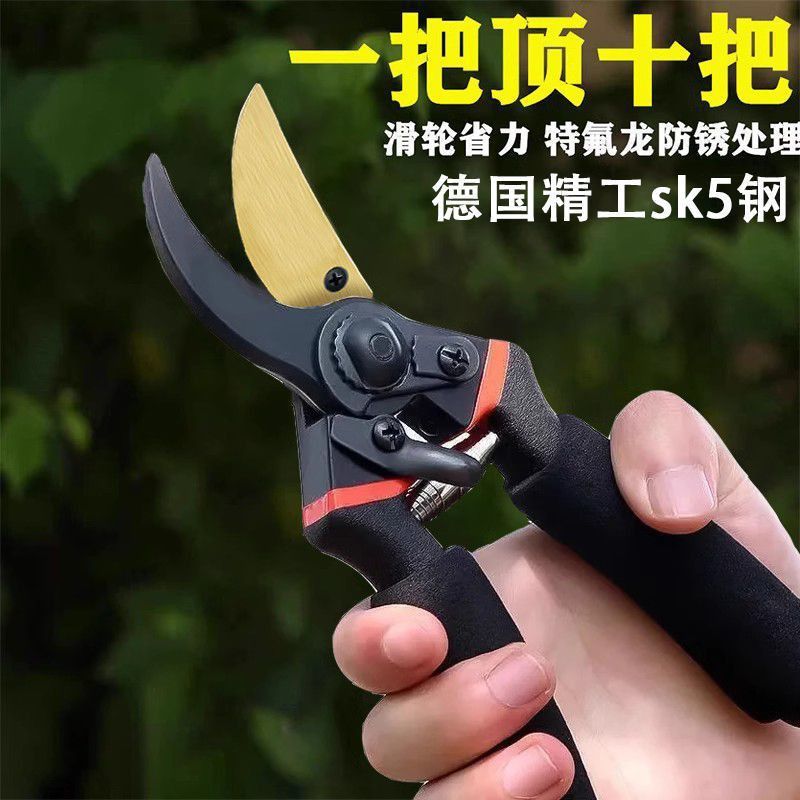 Pruning shears, gardening shears, specialized shears for pruning tree branches, garden pruning, new pruning shears for fruit trees, pruning floral arrangements, pruning shears