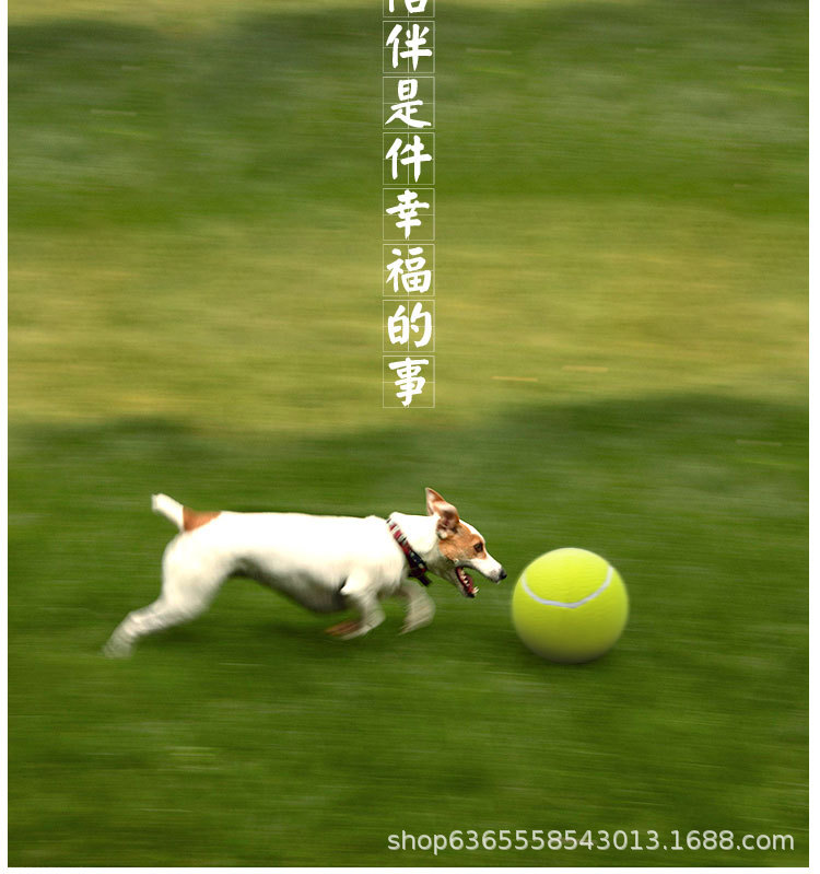未标题-1_10.jpg