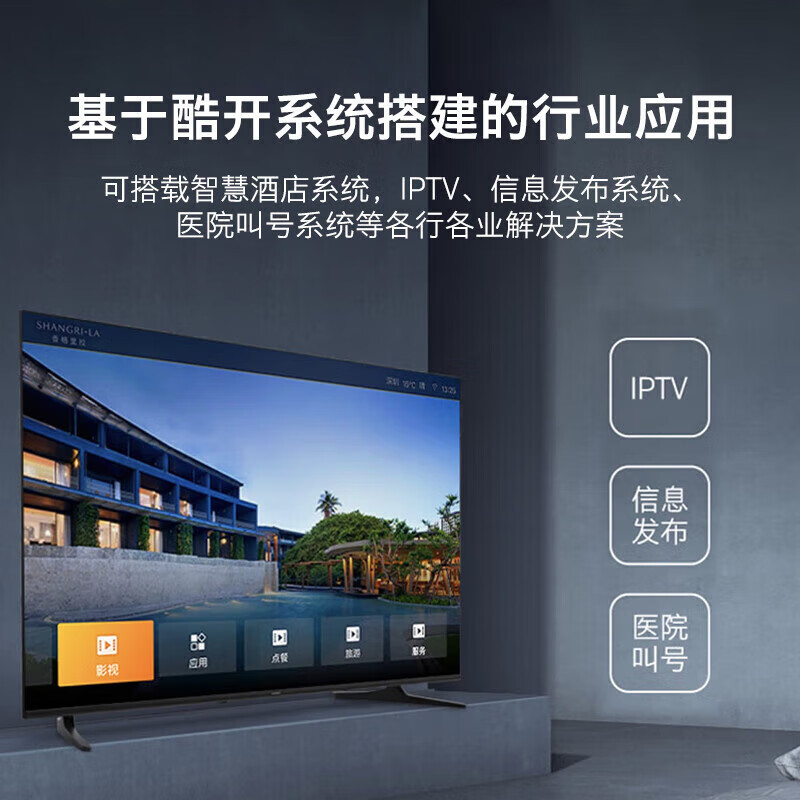 Смарт-телевизор Skyworth BG22 (Hotel Edition)