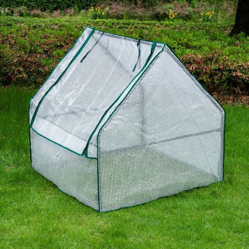 Foreign trade sources: Household flower rooms, greenhouses, small greenhouses, balconies, courtyards, greenhouses, green plants, succulents for winter