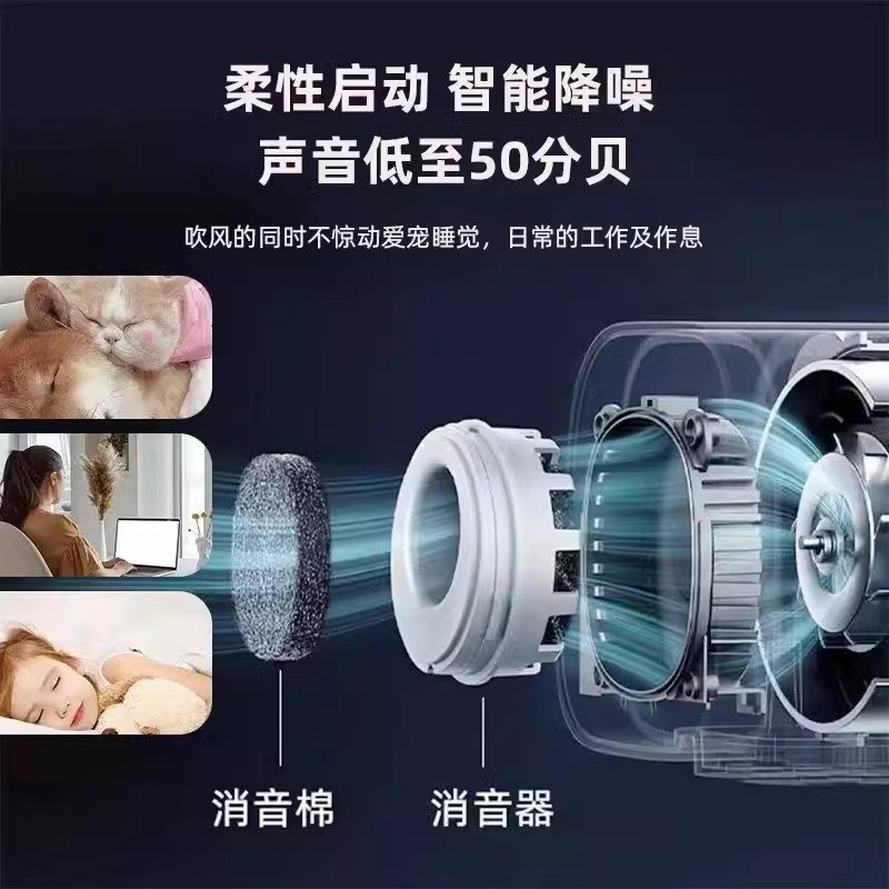 Chunzhou BS2400 ПЭТ -водонадушка Высокая мощность молчали