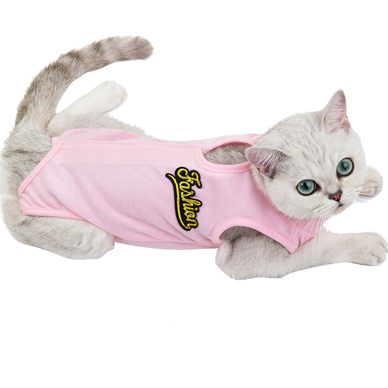 Кошка закладка Catal Cat Anti -Licking Four -Redged Belly Belly Blly Blind Ferm Паром