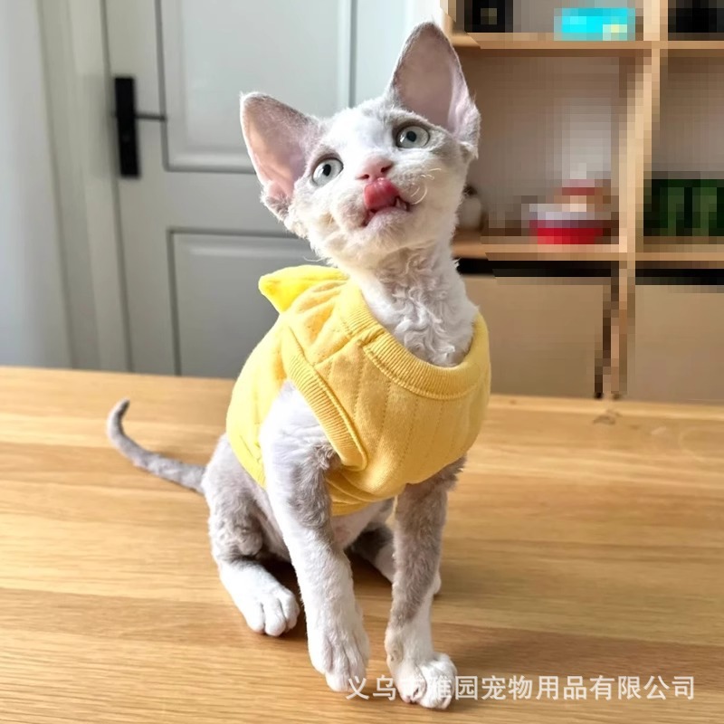 Супер маленький котенка для щенков для собак