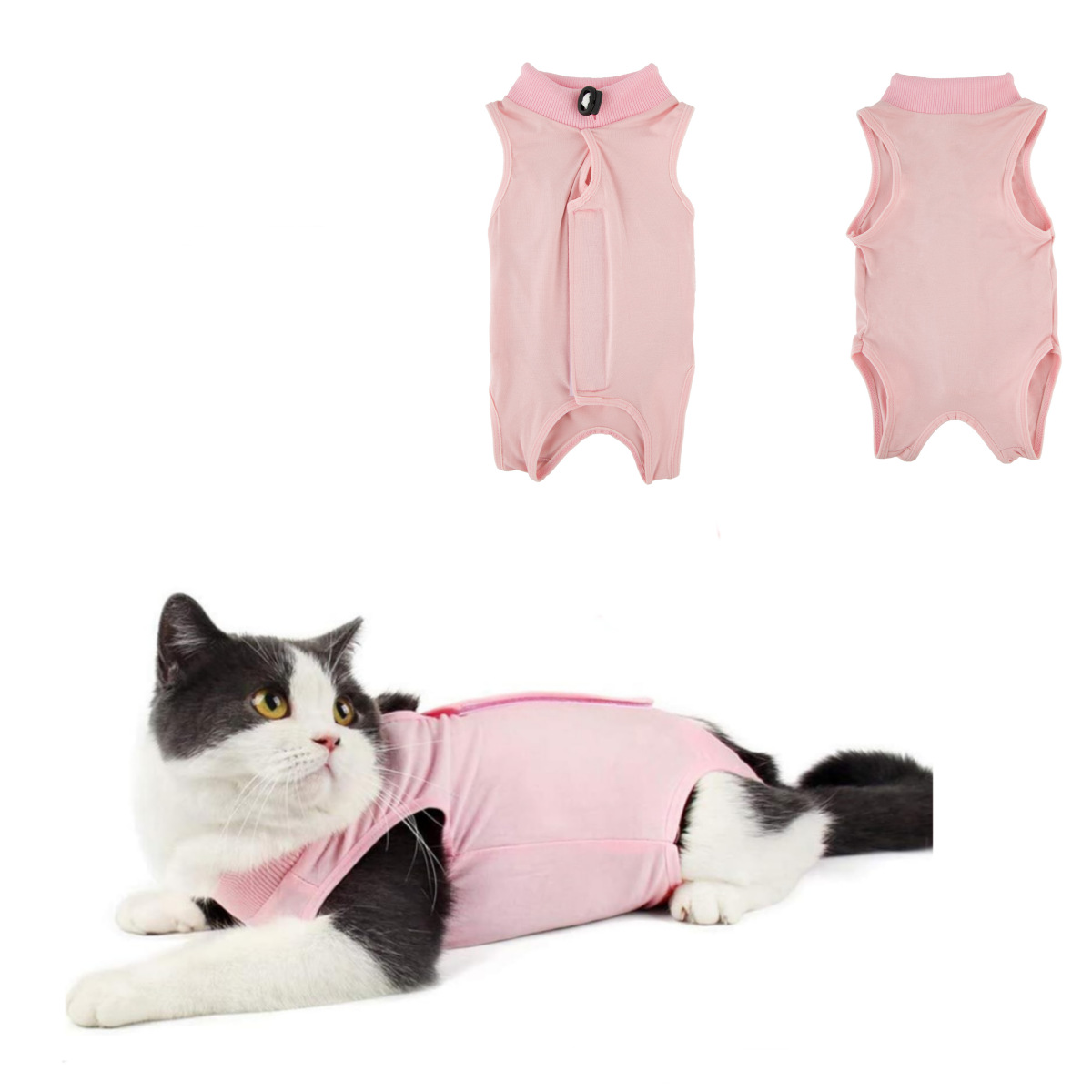 Amazon Cat Coolmark Older Catten Broken Cat Broken Cat