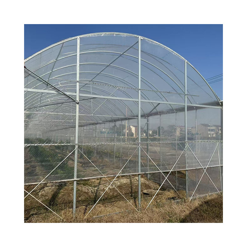 Integrated greenhouse for direct supply of vegetables, fruits and vegetables, integrated greenhouse for foreign trade, connected greenhouse for thermal insulation, greenhouse for sunshade film