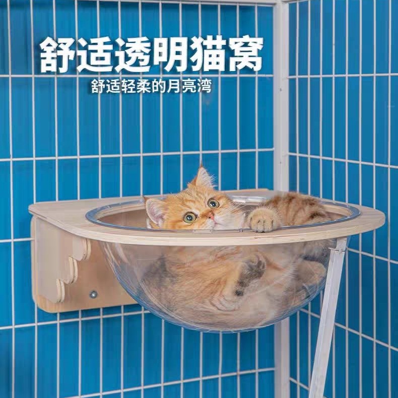 Кошачья клетка кошачья кошка на стене -на стене -космическая салона с трамплинарной панмингом