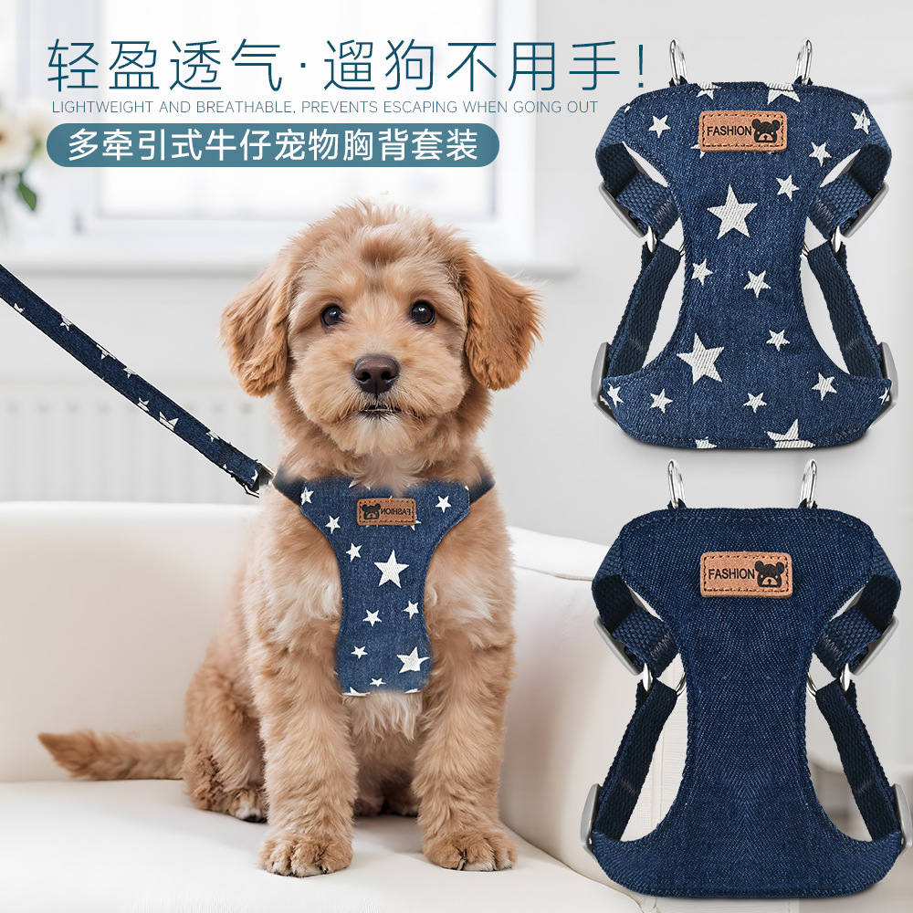 Комплект шлейки для поводка в виде жилета для собак Teddy Bichon, многофункциональная шлейка для собак маленьких и средних размеров Bichon Frize