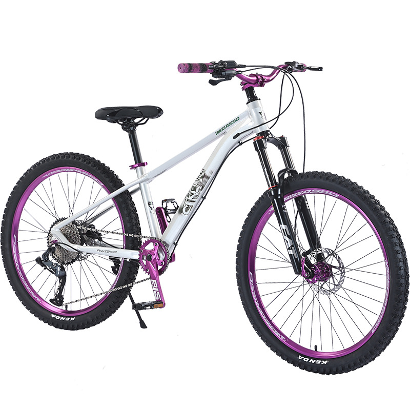 Slope bikes, male and female adult variable speed mountain bikes, aluminum alloy ultra light shock-absorbing bikes, teenage student bikes