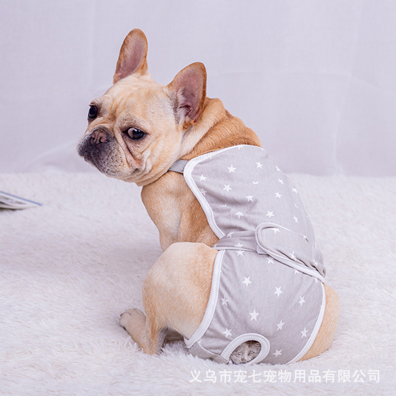 FA Dou Dog Dog Star Biological Banns Teddy Corgi Puppy Pabble Pacific Pet Pet Pat Panti