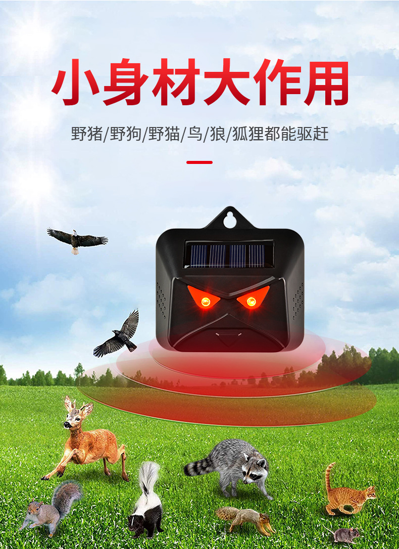 Solar charging rodent repellent, outdoor animal repellent, red light flashing, bird repellent, bat repellent, cross-border source of goods