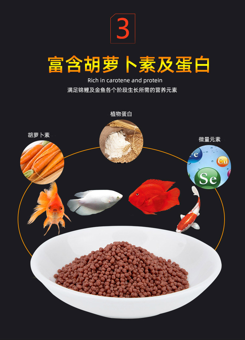 观赏鱼通用详情_07