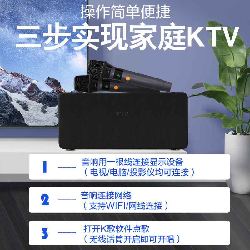 Домашняя KTV система с беспроводными микрофонами Other