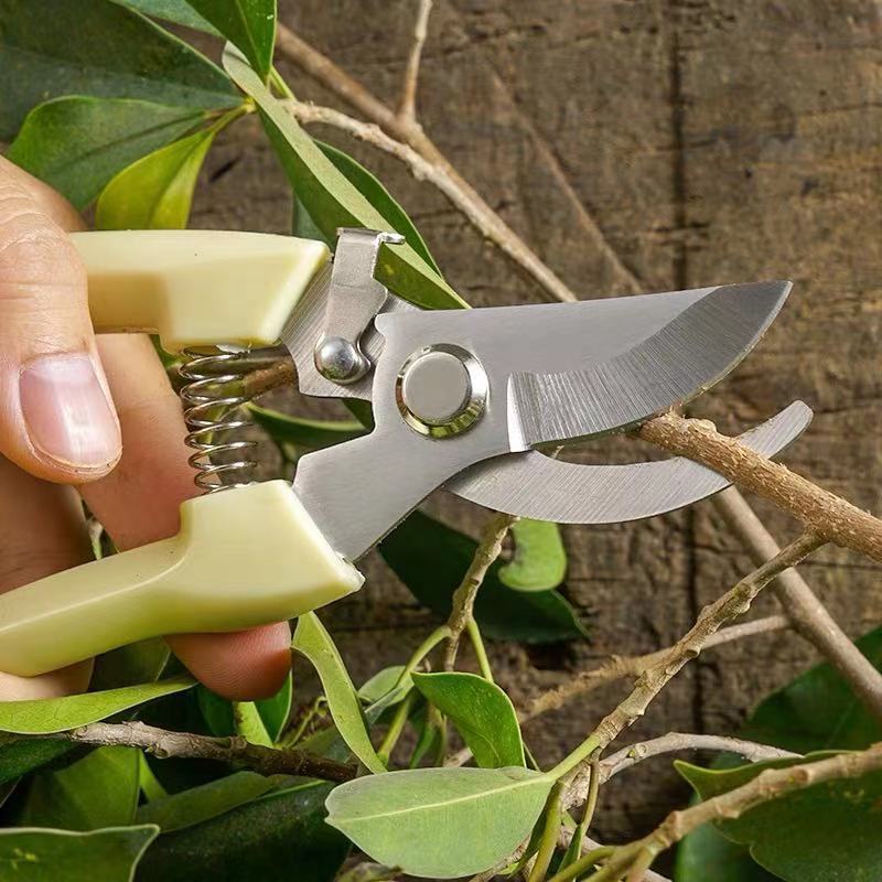 Strong stainless steel pruning shears for rough branches, orchard fruit picking, specialized flower pruning and fruit thinning, multifunctional garden tree branches shears