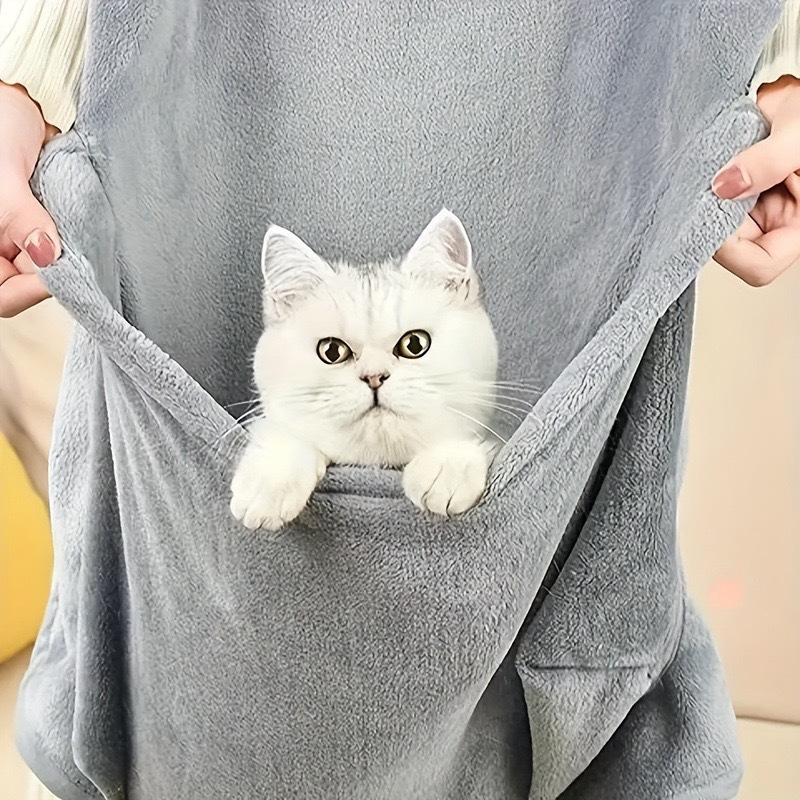 撸 Кот апрель, держащий кот в форму, не липти Мао Мао, держащий кошку, проходящую кошку