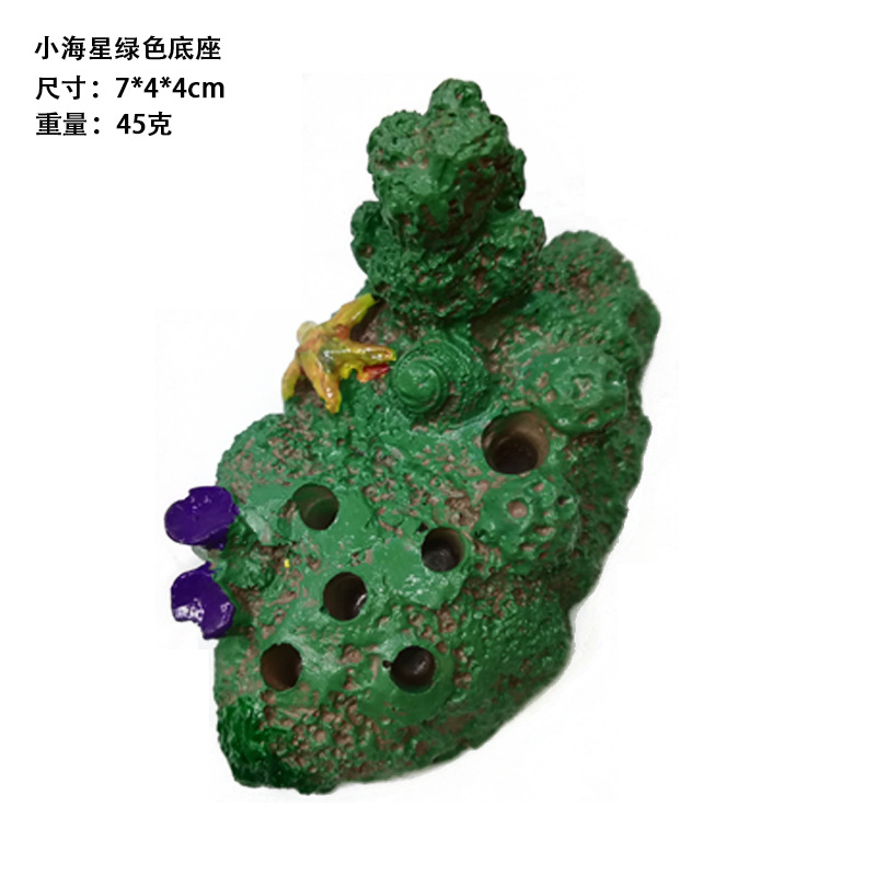小海星绿色底座