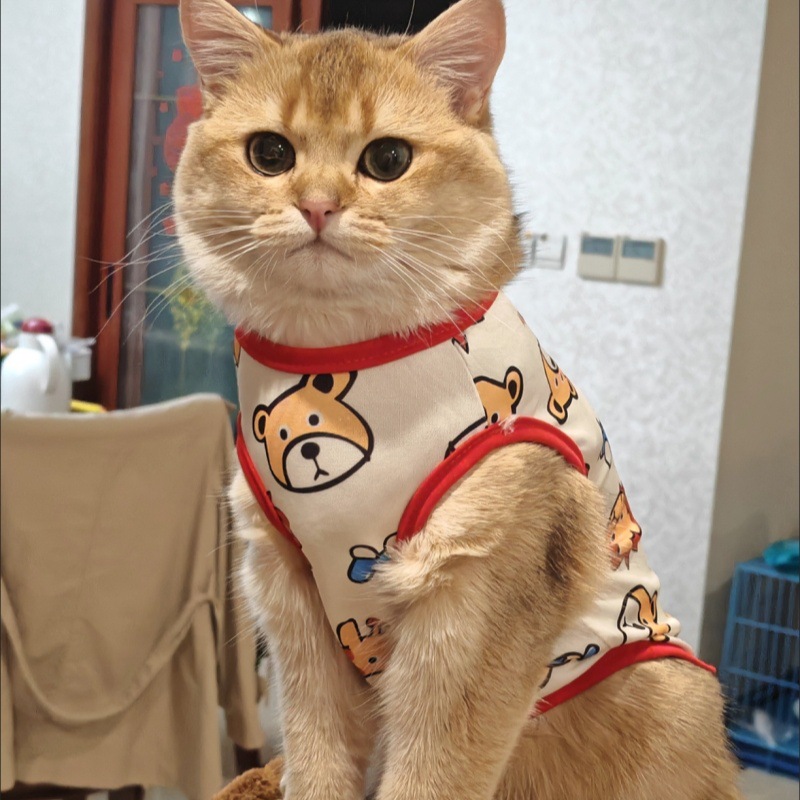 Кошачья одежда против HAIR KITTEN CAT Одежда летняя одежда смешная рисунка котенок кот кот