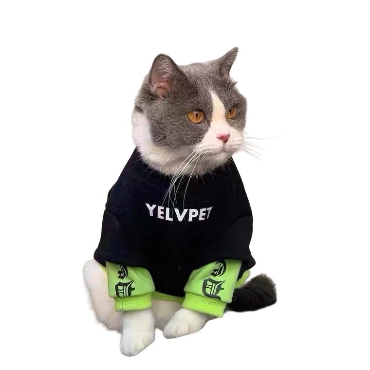 Осенние и зимние кошки, собаки, приливная одежда для бренда куколка Cat Blue Cats Anti -Fur Mear маленькая собака Sherina Pet плюс бархатный свитер