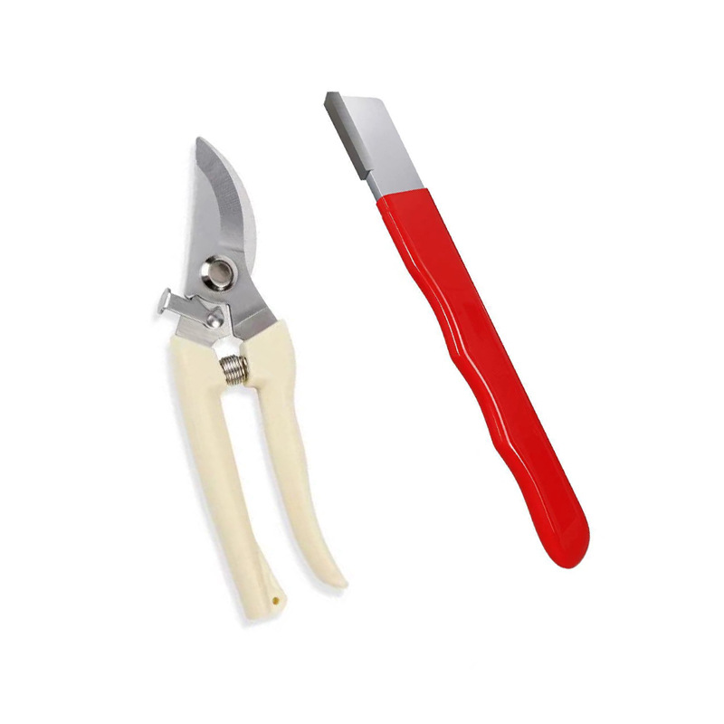 Strong stainless steel pruning shears for rough branches, orchard fruit picking, specialized flower pruning and fruit thinning, multifunctional garden tree branches shears