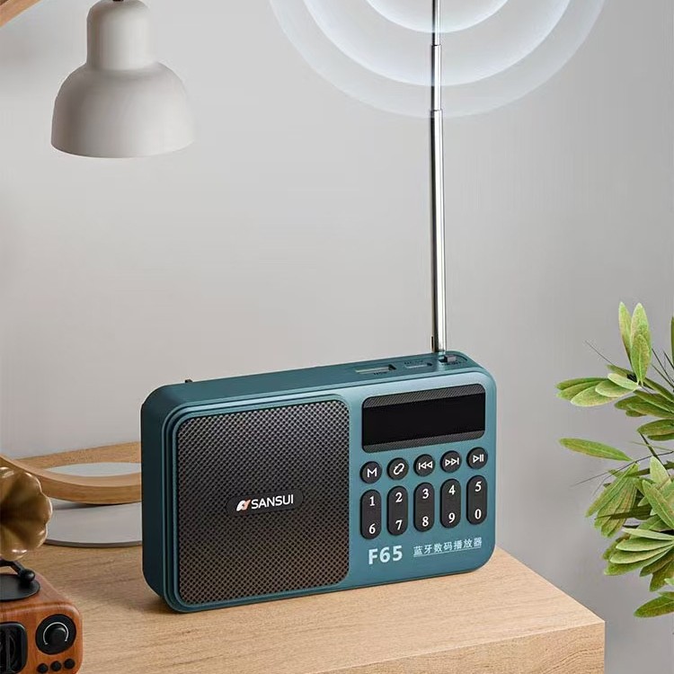 Портативный радиоприемник Sansui F65 с Bluetooth и USB