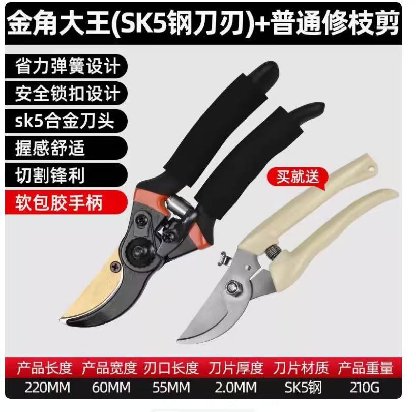Pruning shears, gardening shears, specialized shears for pruning tree branches, garden pruning, new pruning shears for fruit trees, pruning floral arrangements, pruning shears