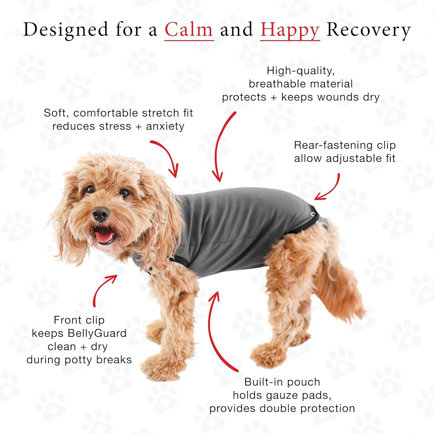 Сестрая Amazon Popular Dog Physiology, Teddy, Golden Retriever, Husky, Schnauzer